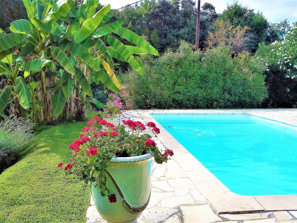 Holiday Home Swimming Pool