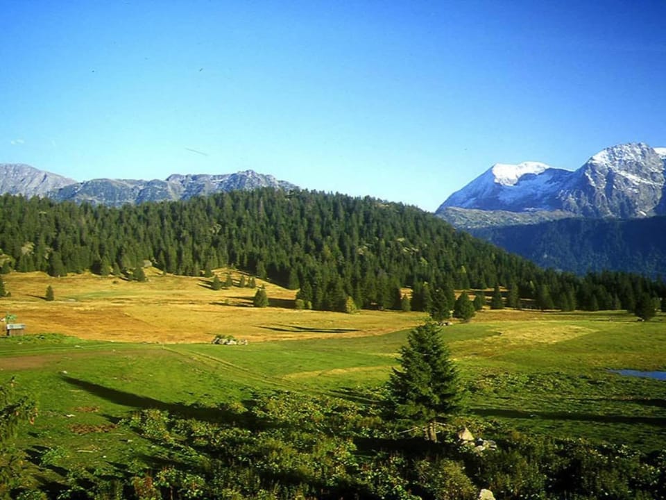 Surroundings [summer] (1-5 km)