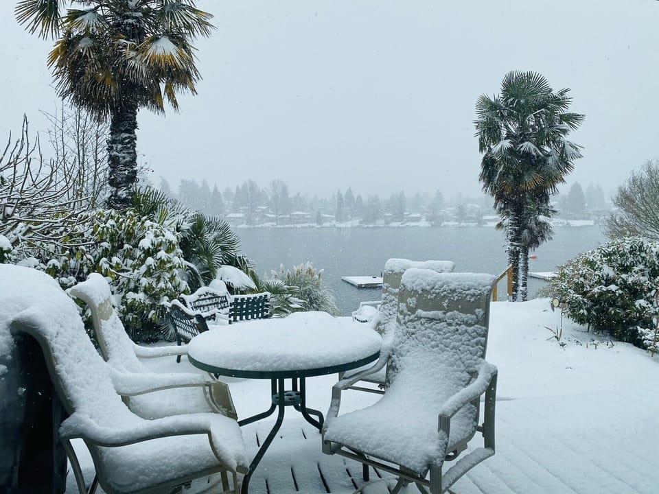 Snow view at the upper deck