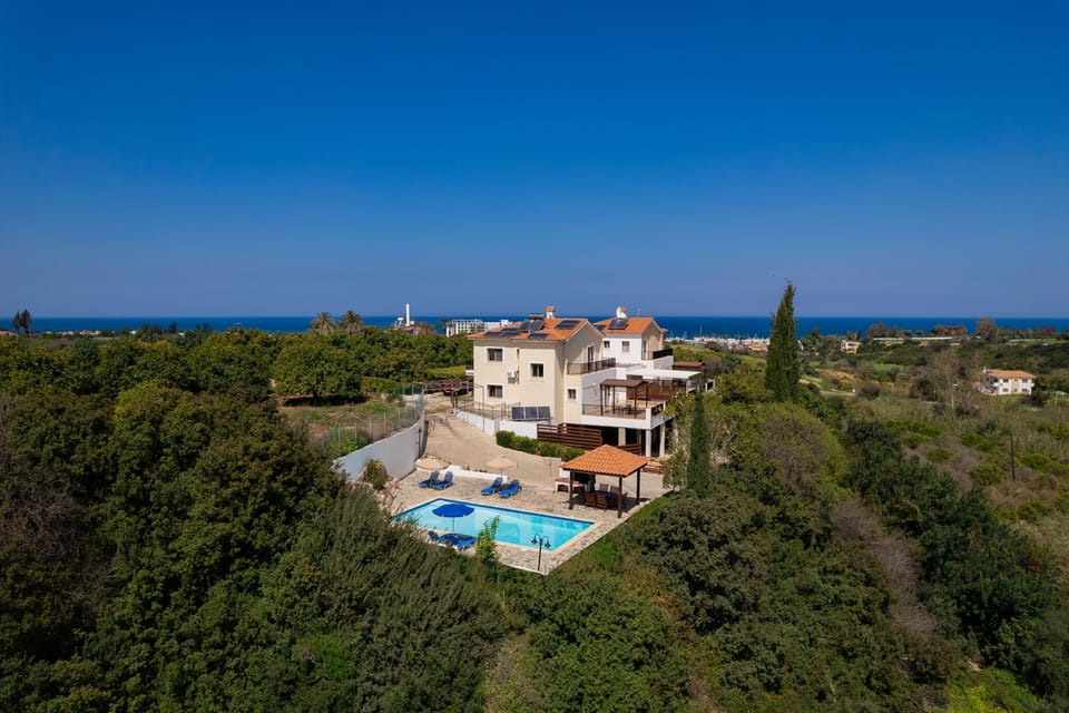 Aerial views of pool and property