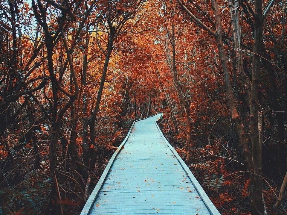 Nature walks and parks all over the city
