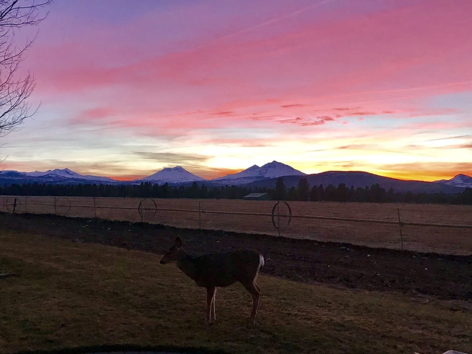 Three Sisters at sunset