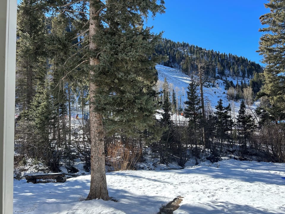 View from property