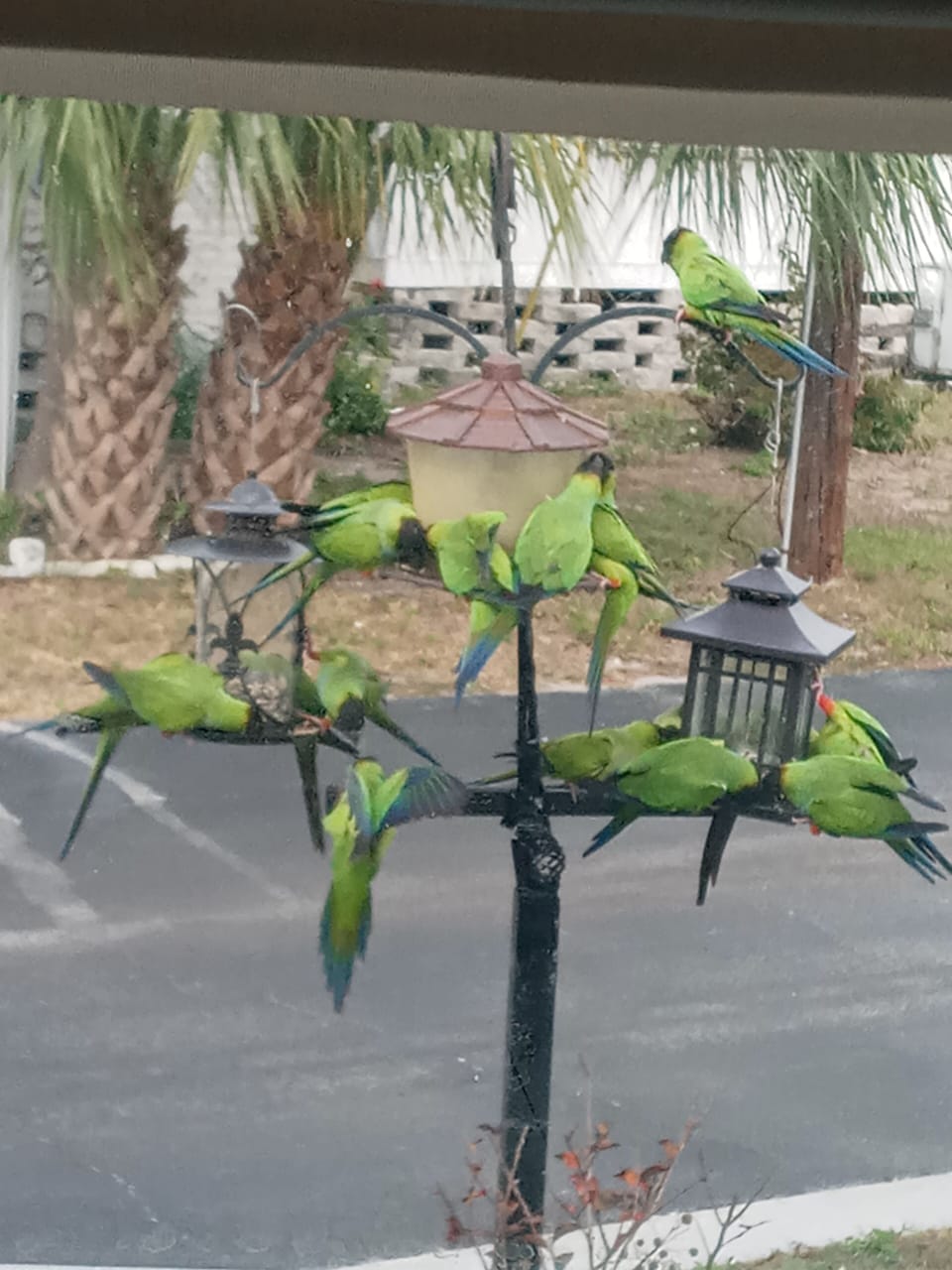 Quakers come to eat.
