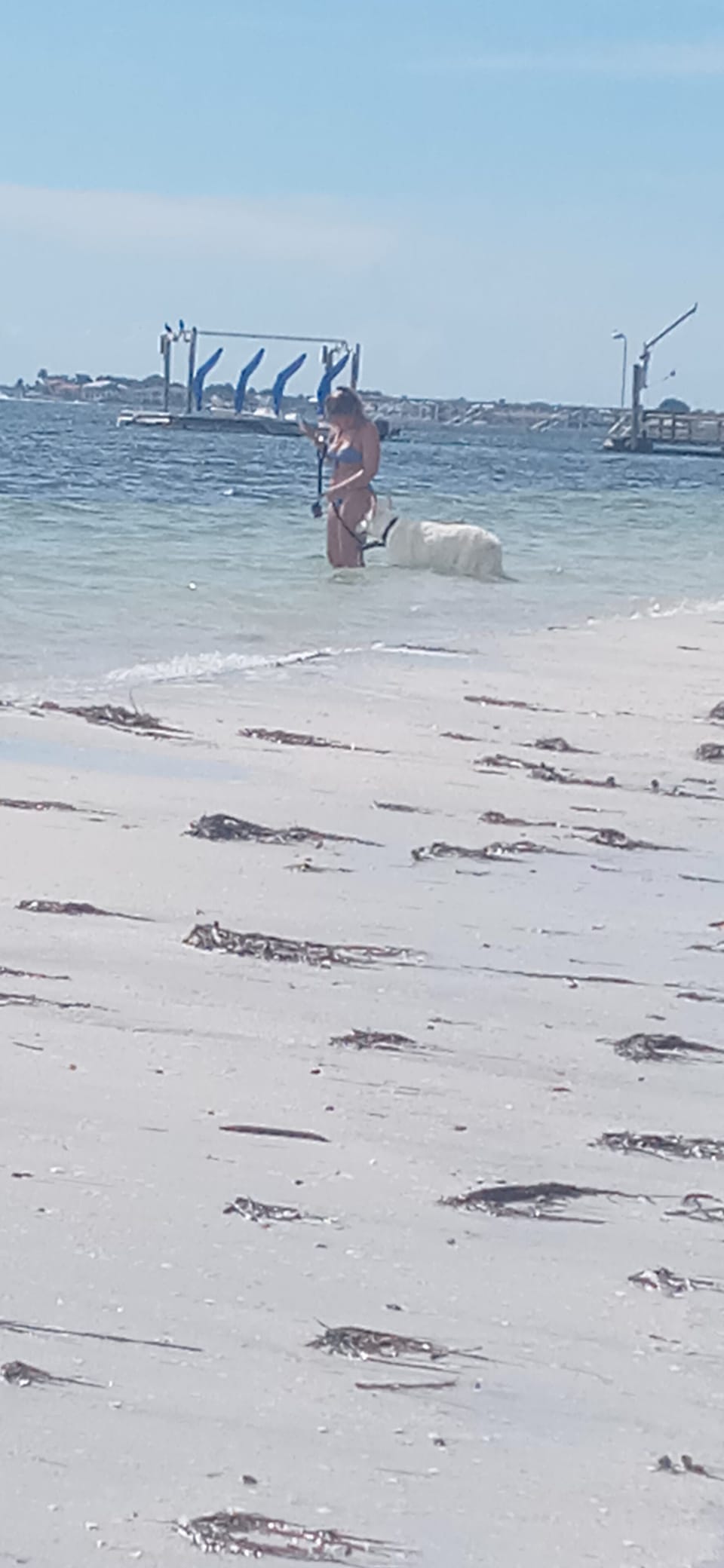 Beach with her dog