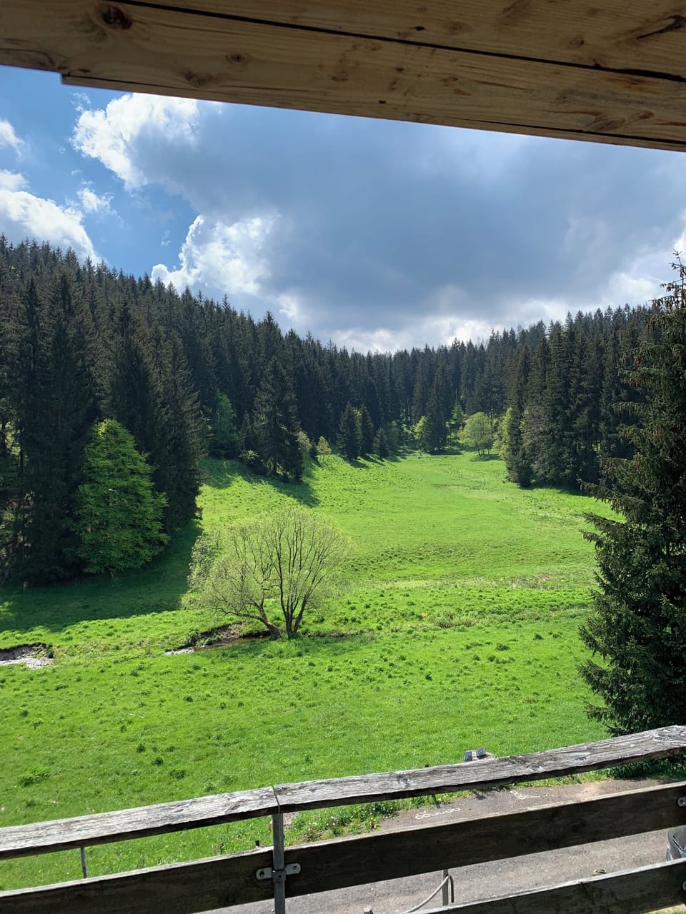 View from property