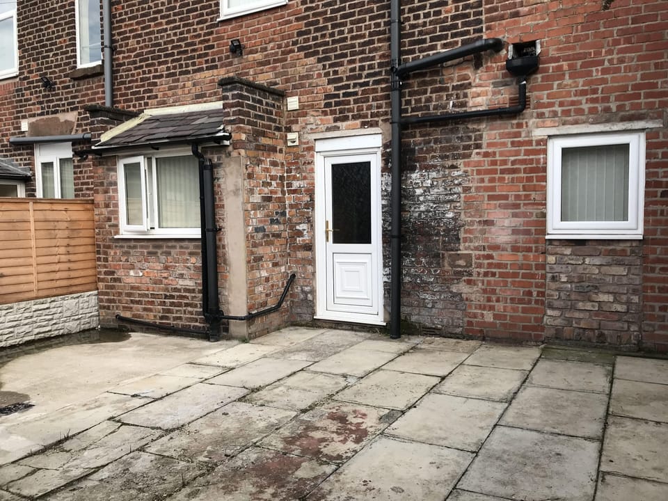 Spacious and private back yard