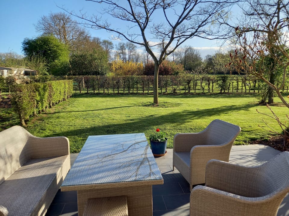 Garden from rear terrace