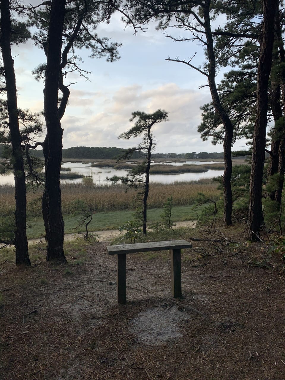 Conservation area next door has 60 acres of hiking. 