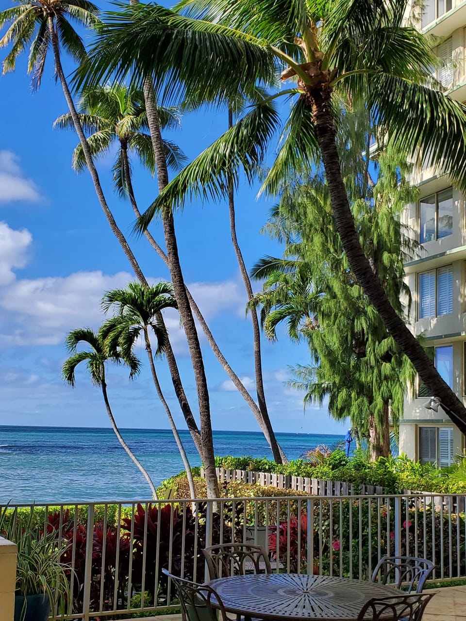 Oceanfront lawn area good for relaxing and sunbathing