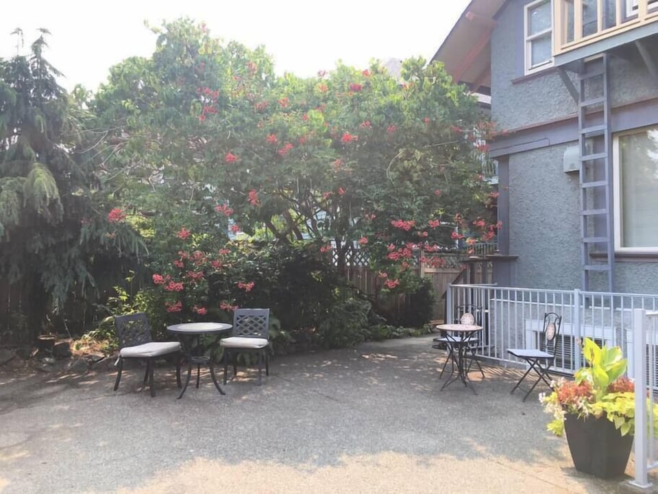 Back Courtyard (1)