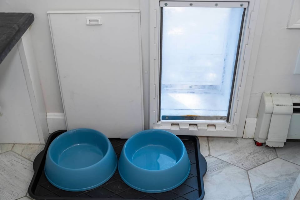 Doggie door and bowls. Crate and dog bed available in basement
