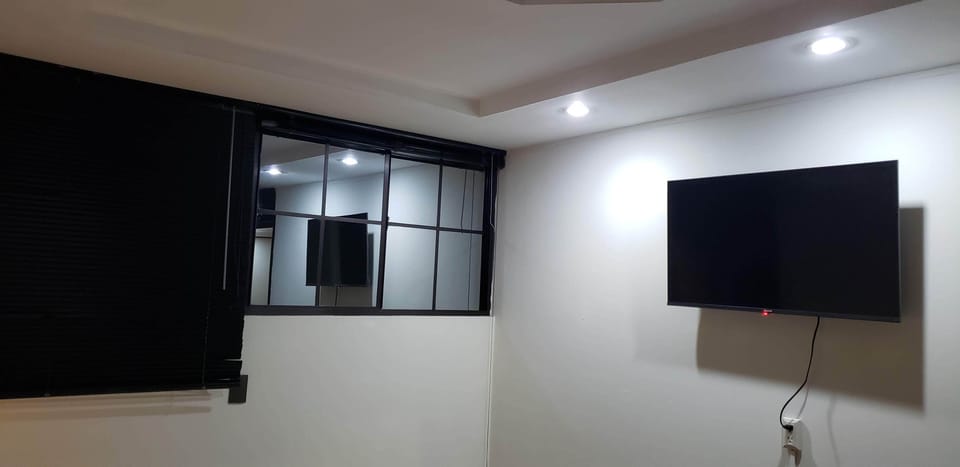 Television