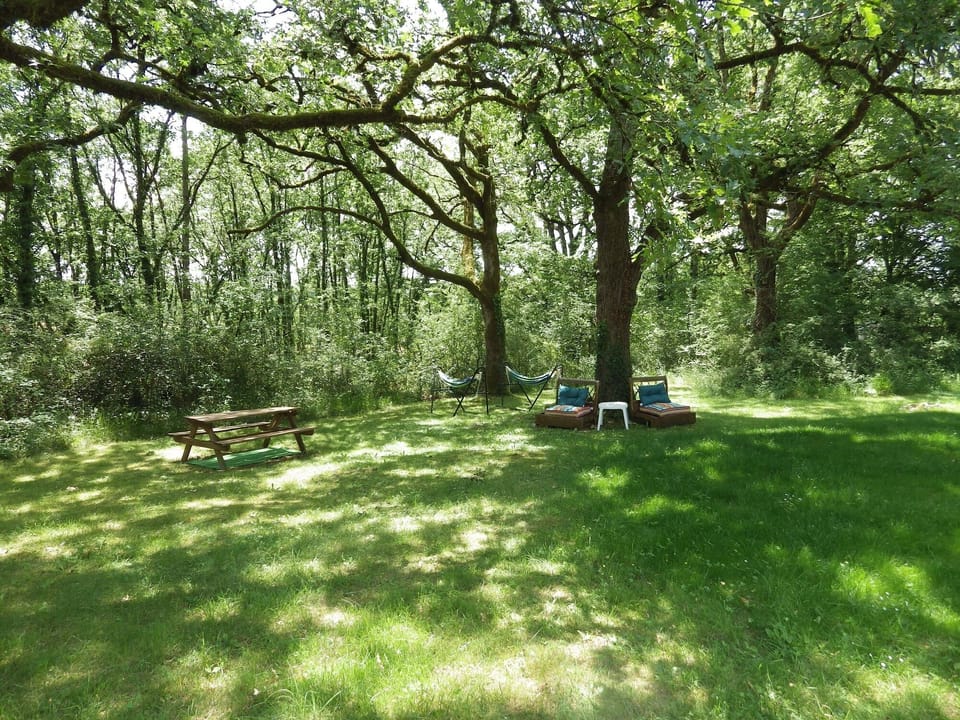 Shady garden