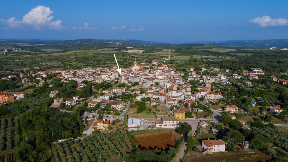 Bird View