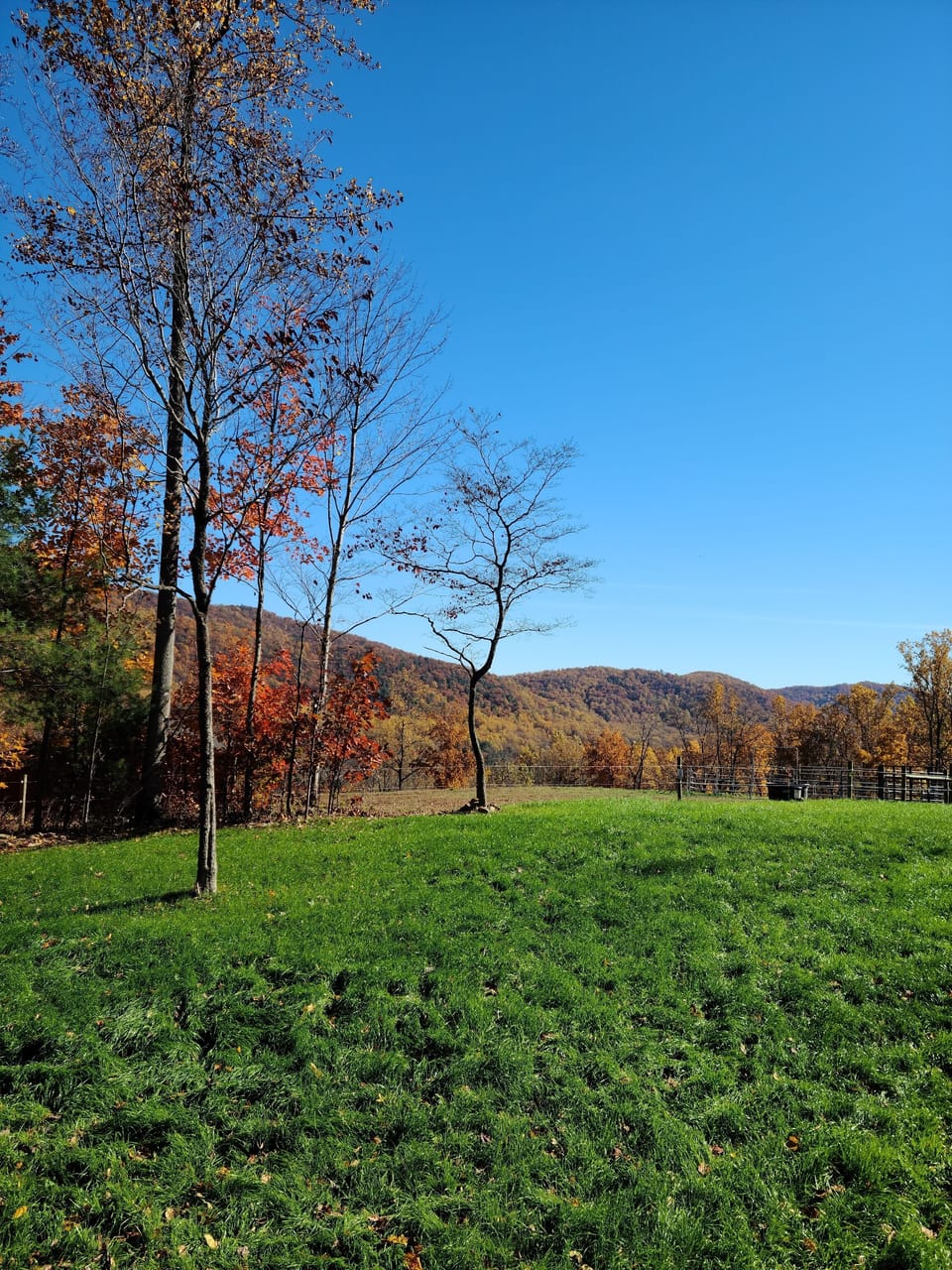Fall colors