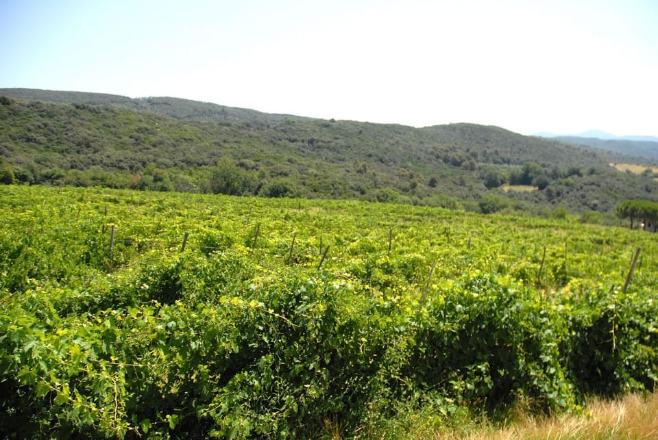podere-san-giovanni-narni-terni-villa-view