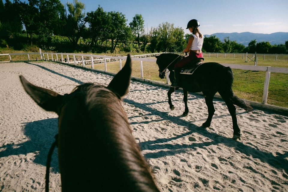 la-piazza-di-san-donato-reggello-multiproperty-horses