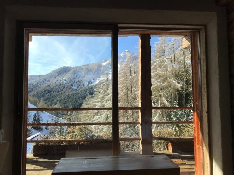 Suite 5 View