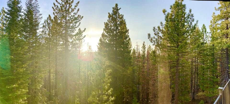 End the day with beautiful sunset colors shining through the serene Tahoe forest.