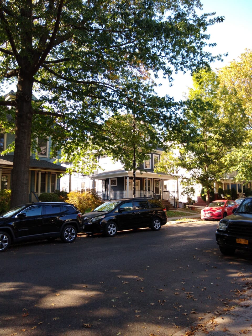 Outside on our street