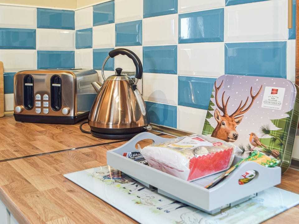 Kitchen | Marros Hill Log Cabin, Marros, near Pendine