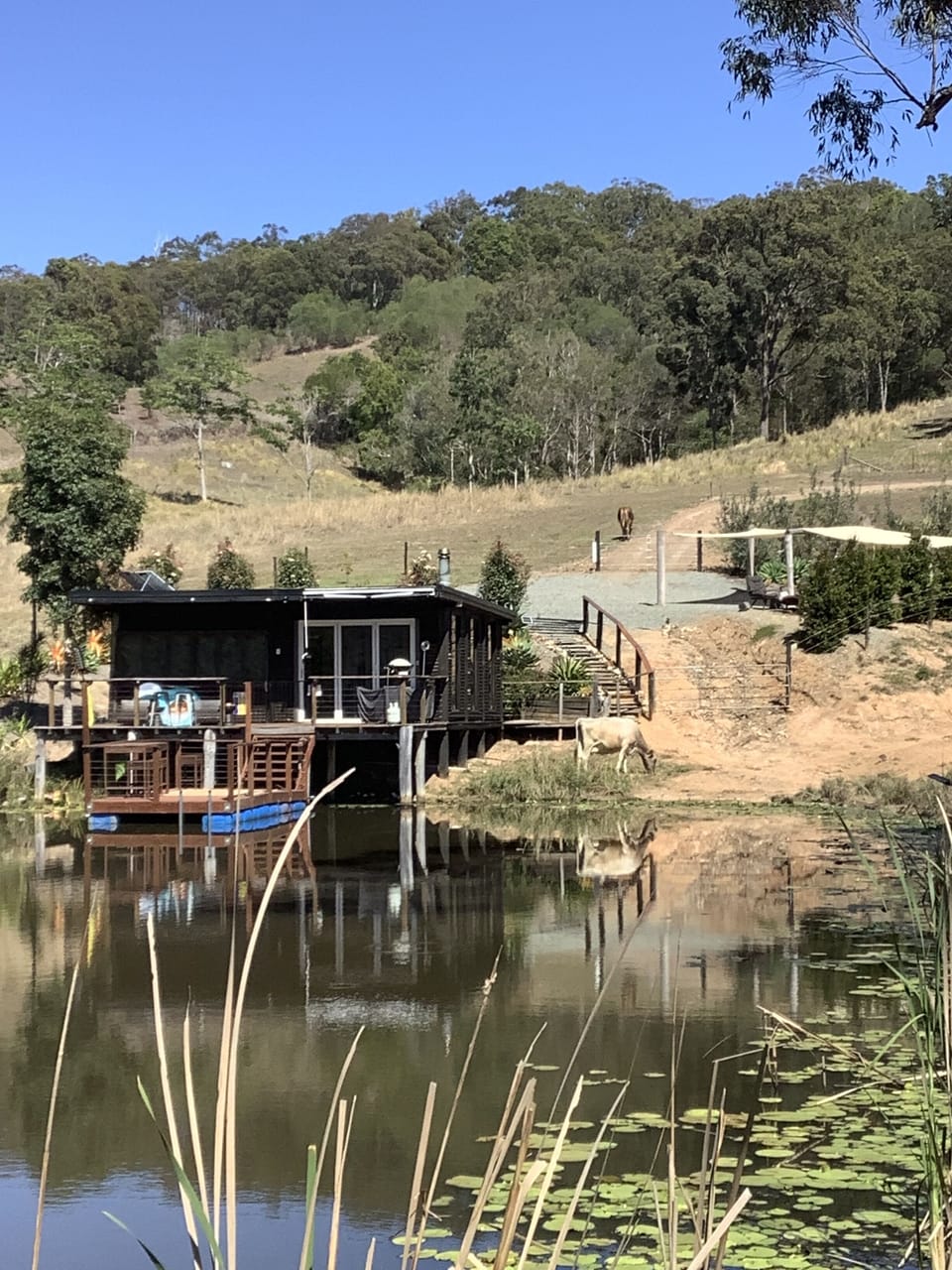 Our new pontoon ideal for swimming