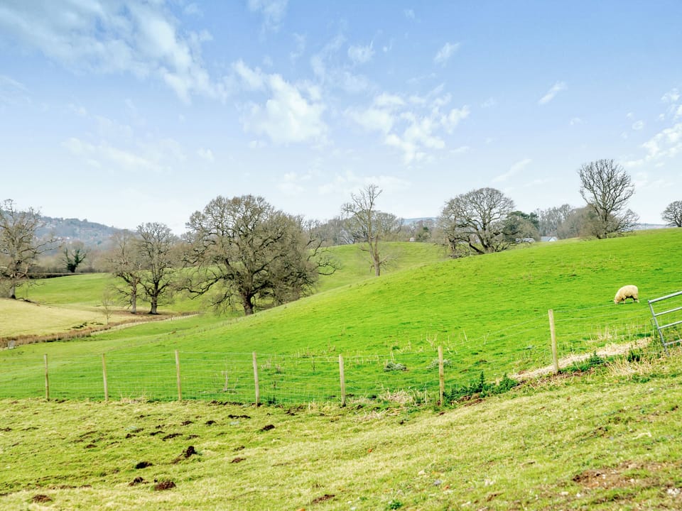 Surrounding area | Dairy Cottage - Hole Farm, Alderbury, near Salisbury