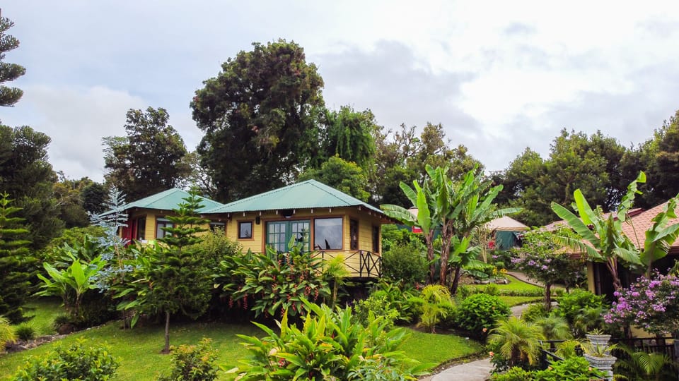 the two cabins