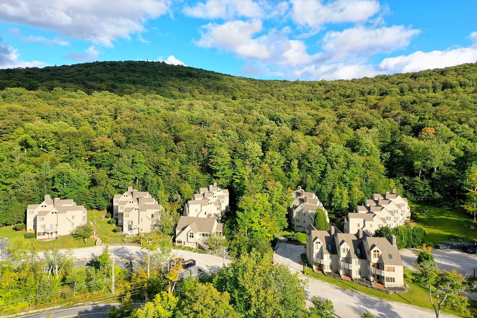Aerial view of Fall Line and surrounding mountains and forest
