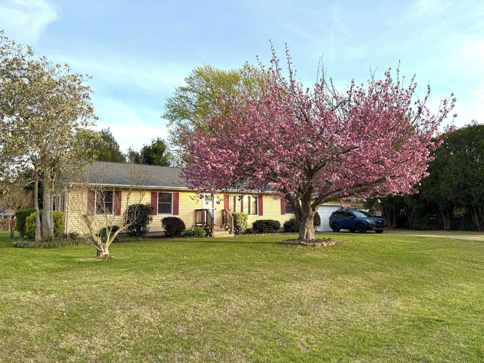 Front view of the house as you turn onto our road