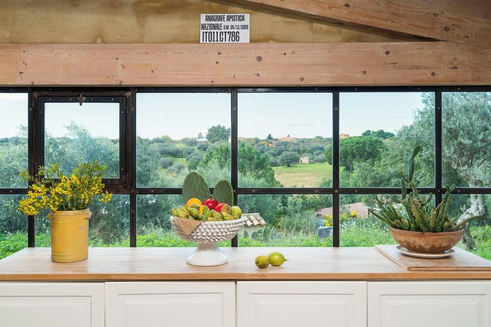 Panoramic view from the kitchen