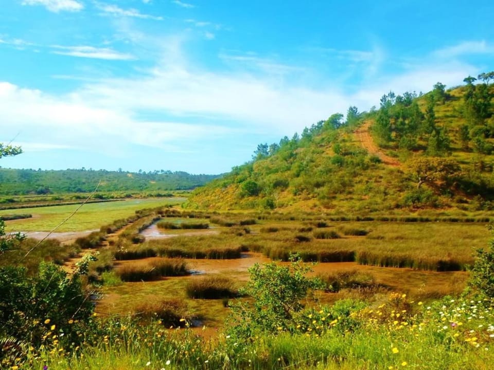 Region [summer] (>5 km)