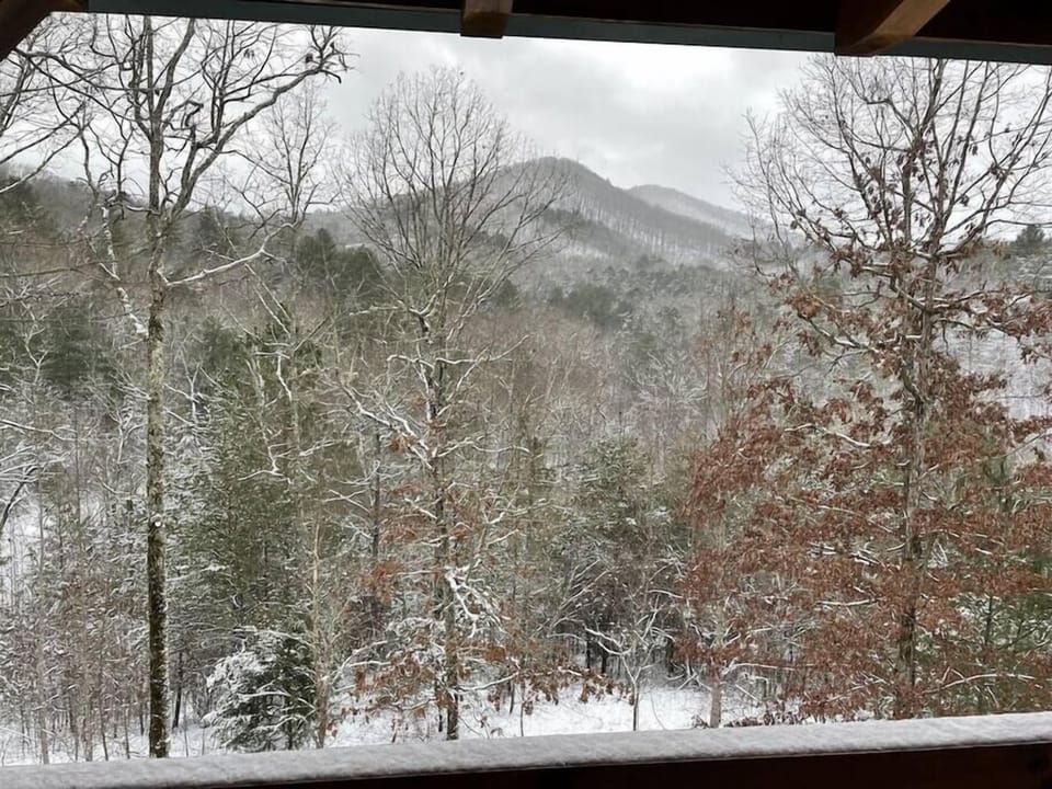 Winter View