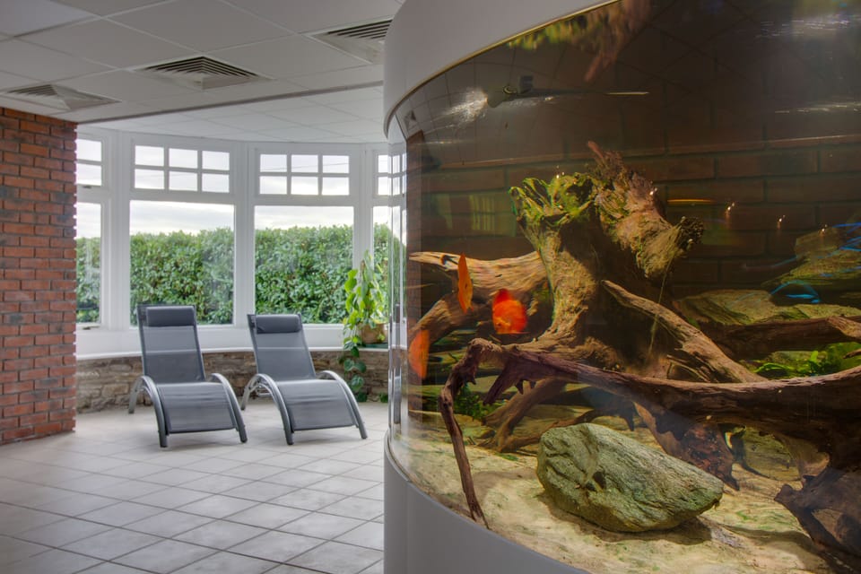 Spa area 