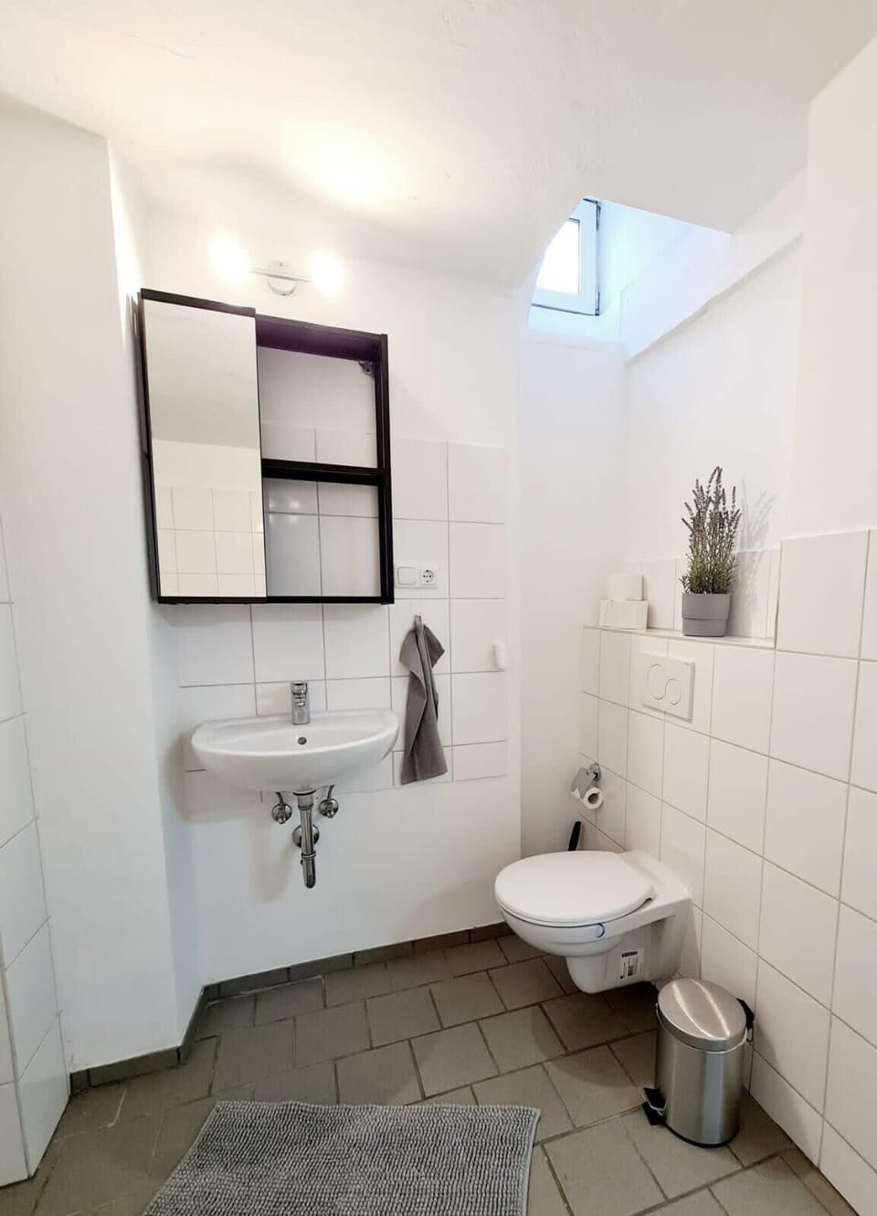 Daylight bathroom with shower