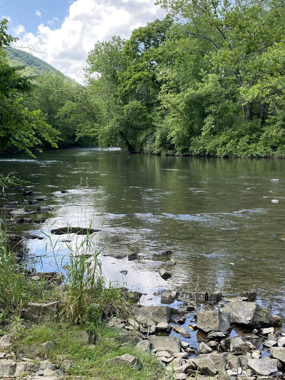 Steps away from the Frankstown Branch of the Juniata River