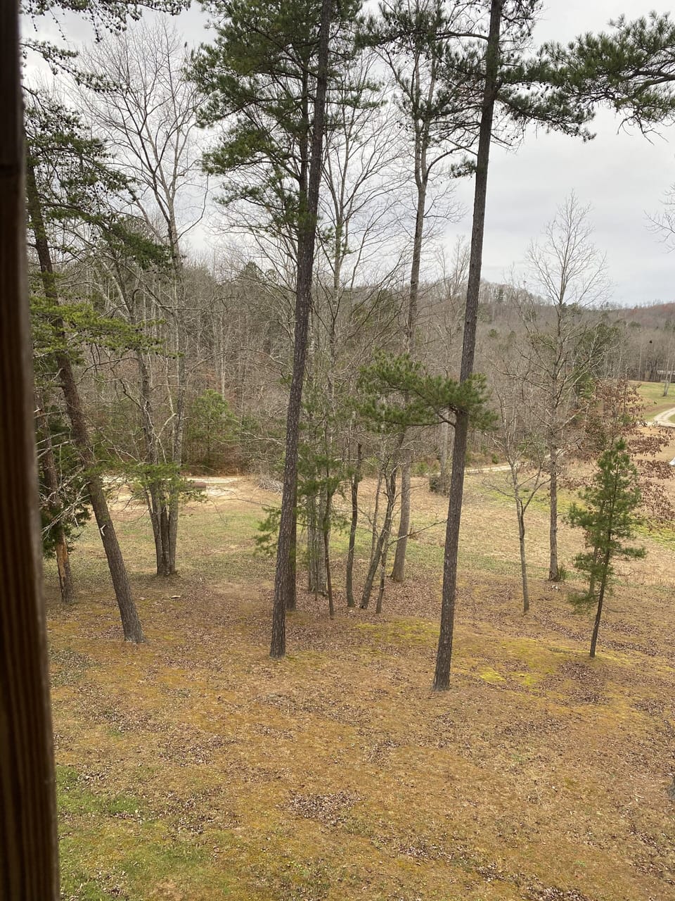 View from property