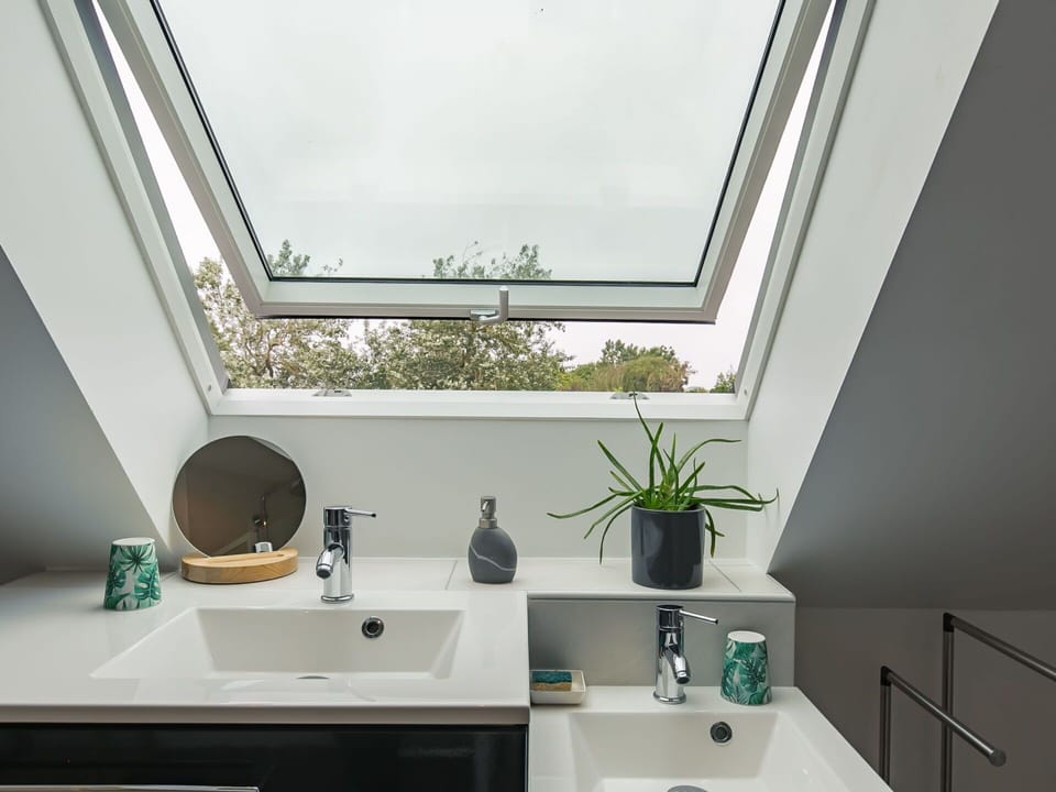 Tap, Sink, Plumbing Fixture, Property, Plant, Photograph, Bathroom Sink, Mirror, Green, Window