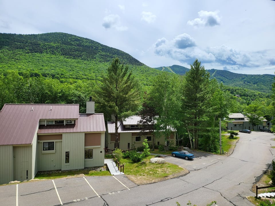 Check out this view!