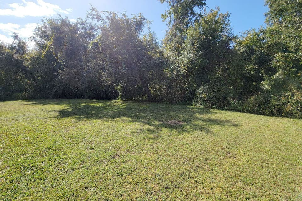 Your yard overlooks a natural conservation area.