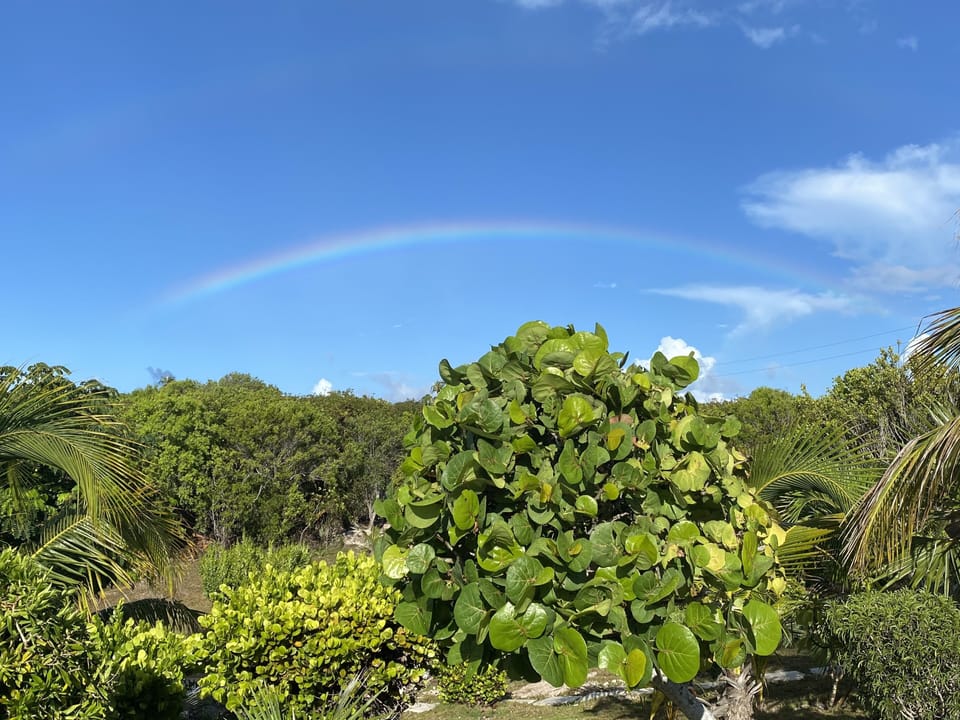 Rainbow over the beautiful landscape