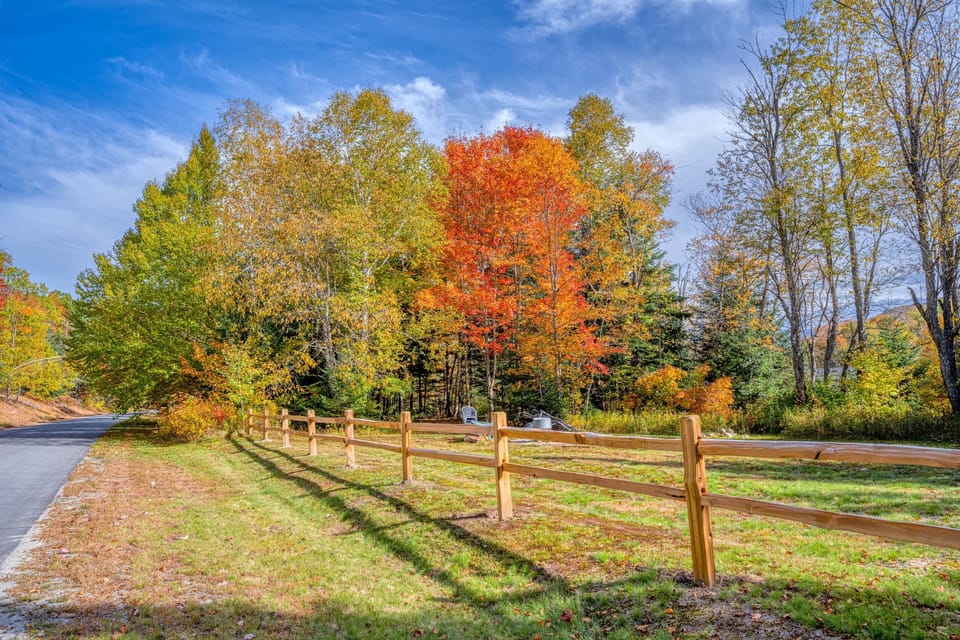 Large Yard with Firepit