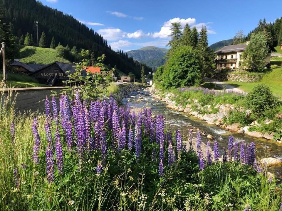 Village view Turrach