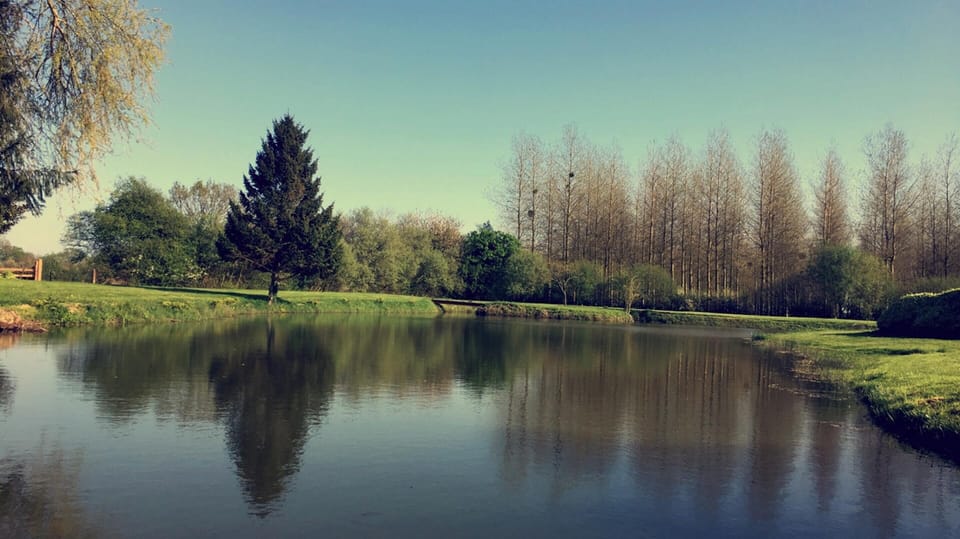 Lake view