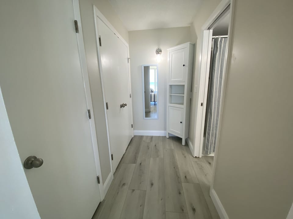 Master dressing area with guest closet and mirror 