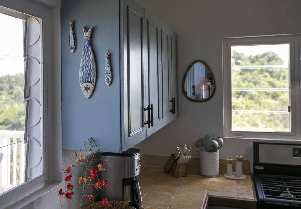 Kitchen details