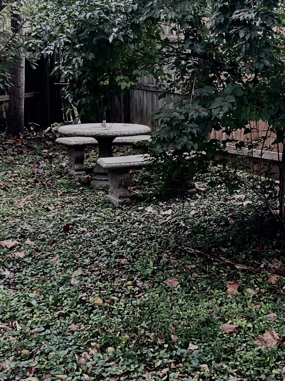 Small picnic lawn area below