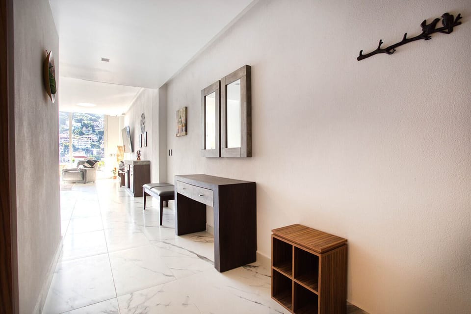 Entrance hall to the apartment