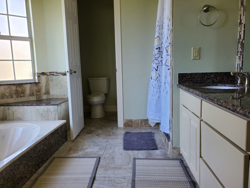 Master bath - 1st floor. sunken tub, dual sinks, stand-alone  shower